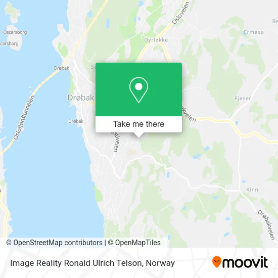 Image Reality Ronald Ulrich Telson map