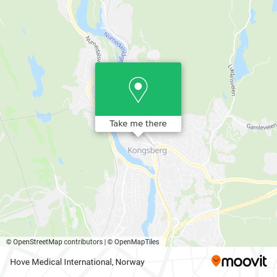 Hove Medical International map