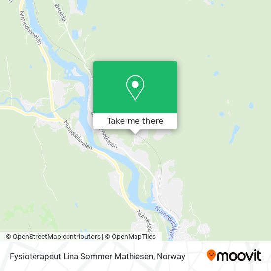 Fysioterapeut Lina Sommer Mathiesen map