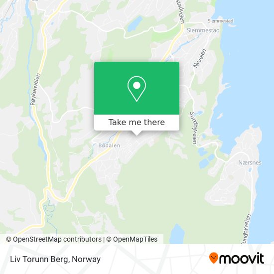 Liv Torunn Berg map