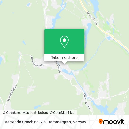 Verterida Coaching Nini Hammergren map