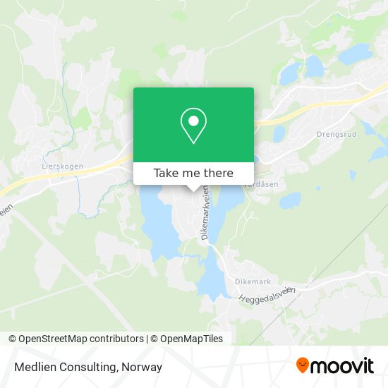 Medlien Consulting map
