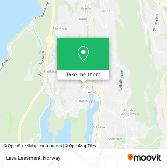 Liisa Leesment map