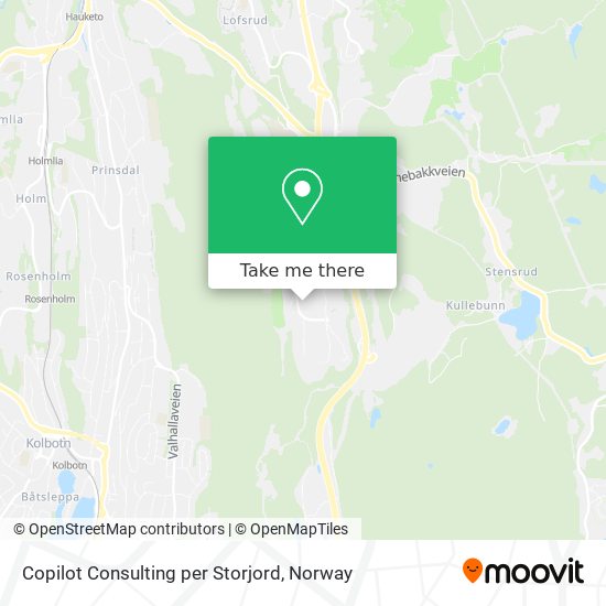 Copilot Consulting per Storjord map