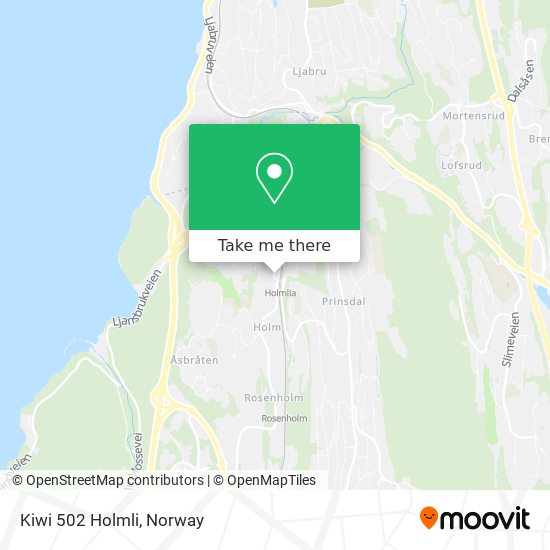Kiwi 502 Holmli map