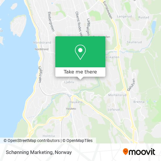 Schønning Marketing map