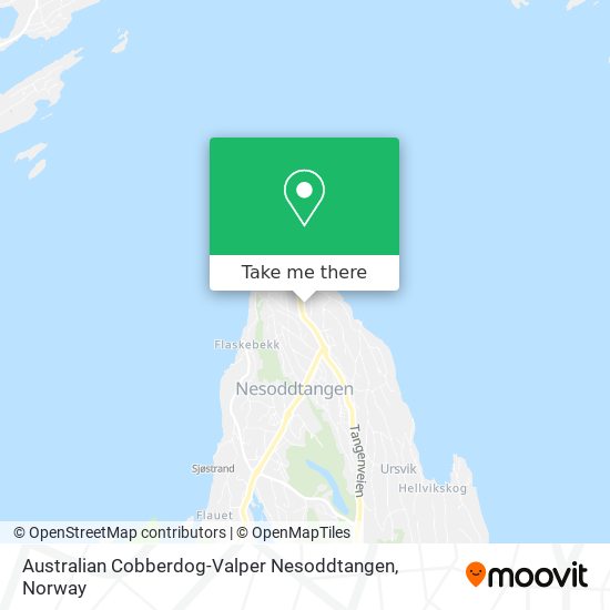 Australian Cobberdog-Valper Nesoddtangen map