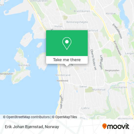 Erik Johan Bjørnstad map