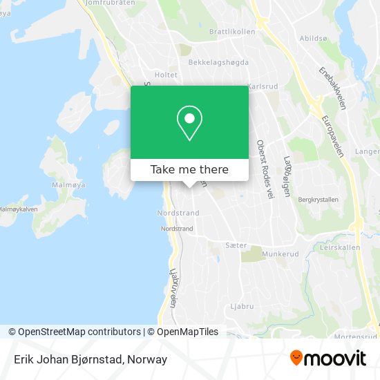 Erik Johan Bjørnstad map