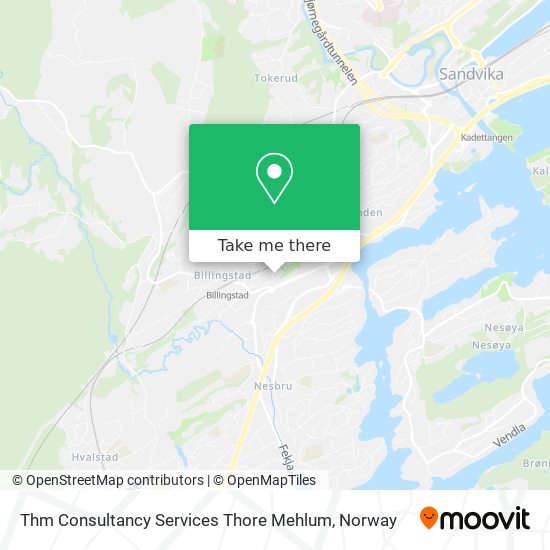 Thm Consultancy Services Thore Mehlum map