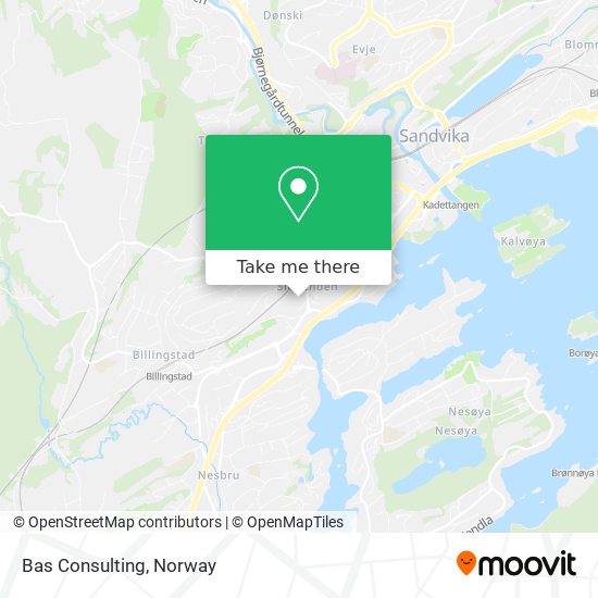 Bas Consulting map