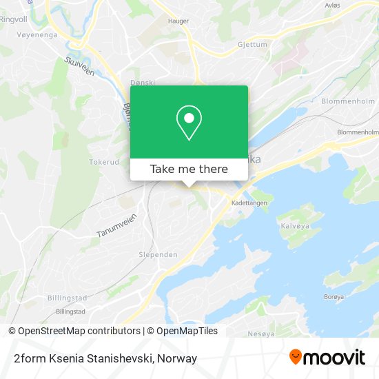 2form Ksenia Stanishevski map