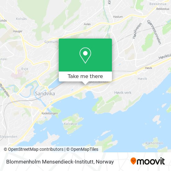 Blommenholm Mensendieck-Institutt map