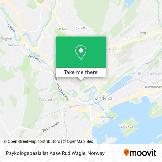 Psykologspesialist Aase Rud Wagle map
