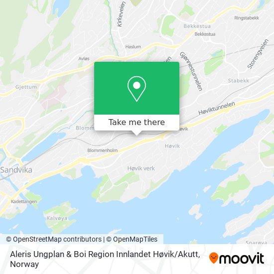 Aleris Ungplan & Boi Region Innlandet Høvik / Akutt map