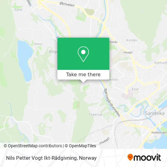 Nils Petter Vogt Ikt-Rådgivning map