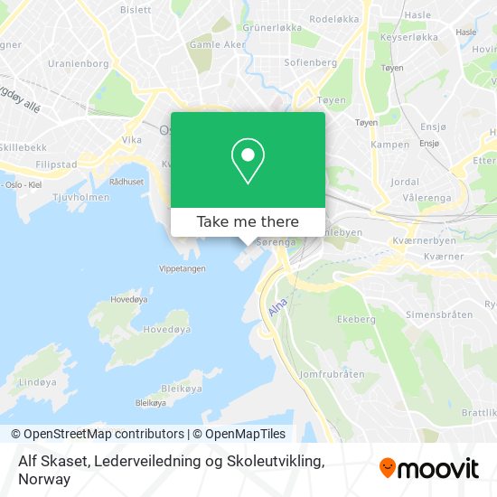 Alf Skaset, Lederveiledning og Skoleutvikling map