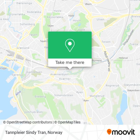 Tannpleier Sindy Tran map