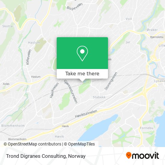 Trond Digranes Consulting map