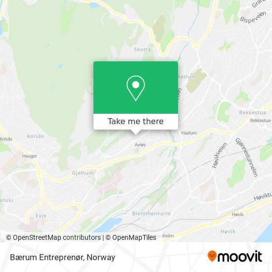 Bærum Entreprenør map