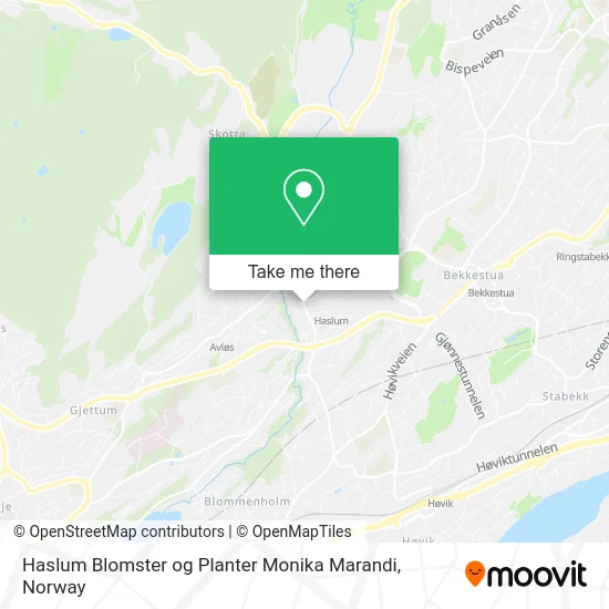 Haslum Blomster og Planter Monika Marandi map