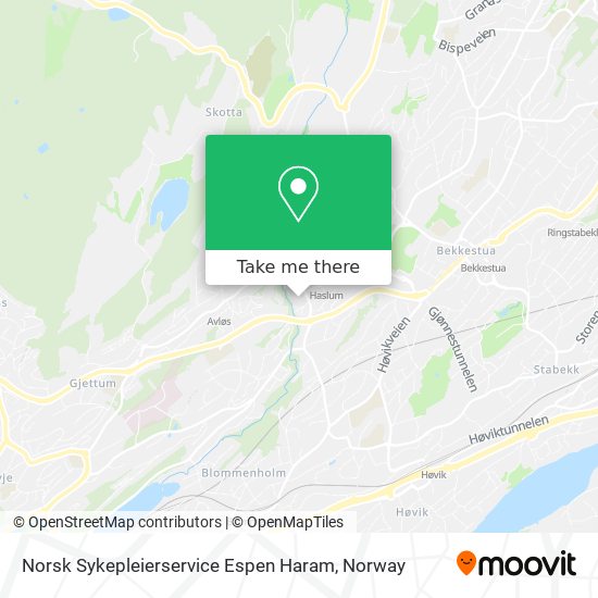 Norsk Sykepleierservice Espen Haram map