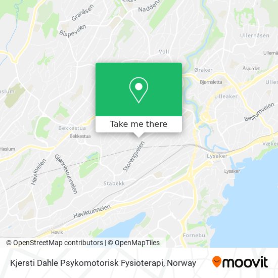 Kjersti Dahle Psykomotorisk Fysioterapi map