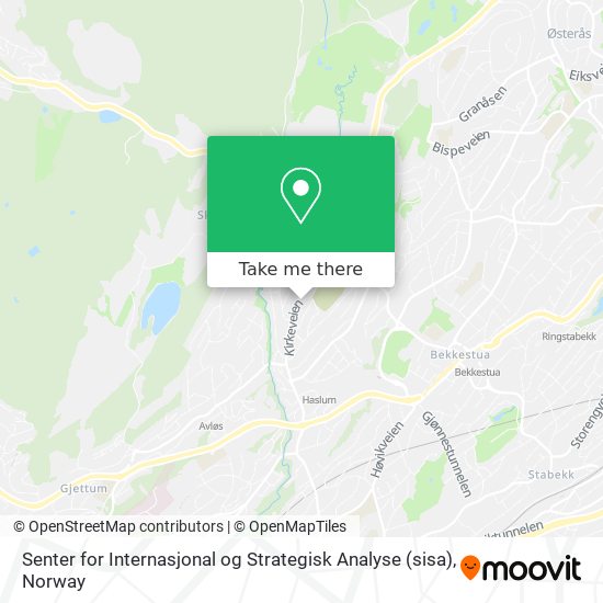 Senter for Internasjonal og Strategisk Analyse (sisa) map