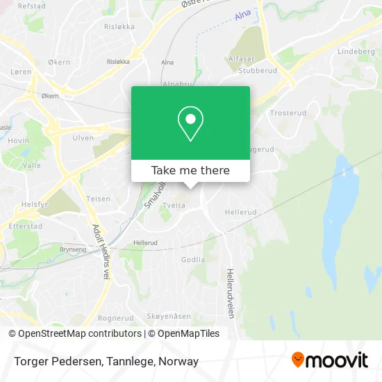 Torger Pedersen, Tannlege map