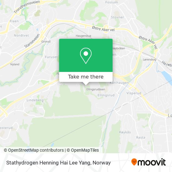 Stathydrogen Henning Hai Lee Yang map