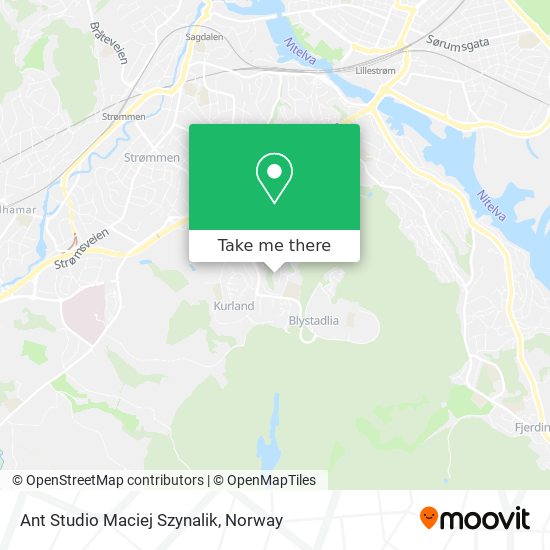 Ant Studio Maciej Szynalik map