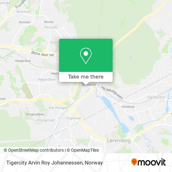 Tigercity Arvin Roy Johannessen map