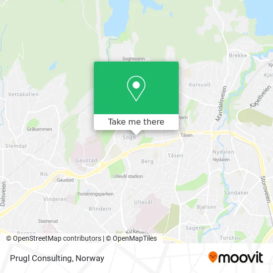Prugl Consulting map