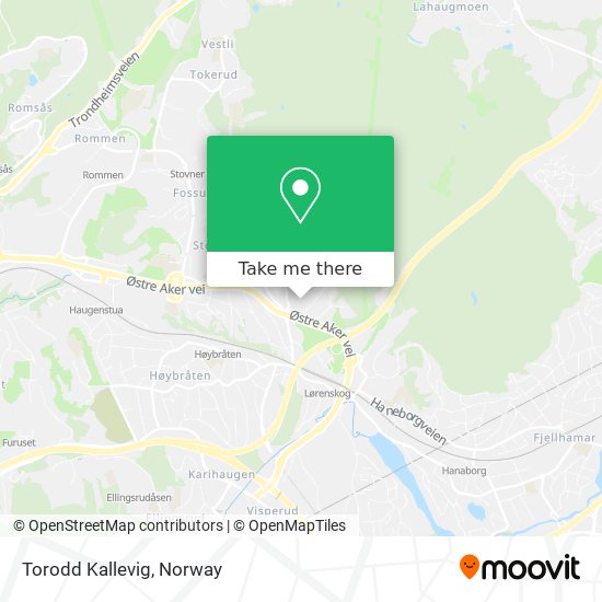 Torodd Kallevig map