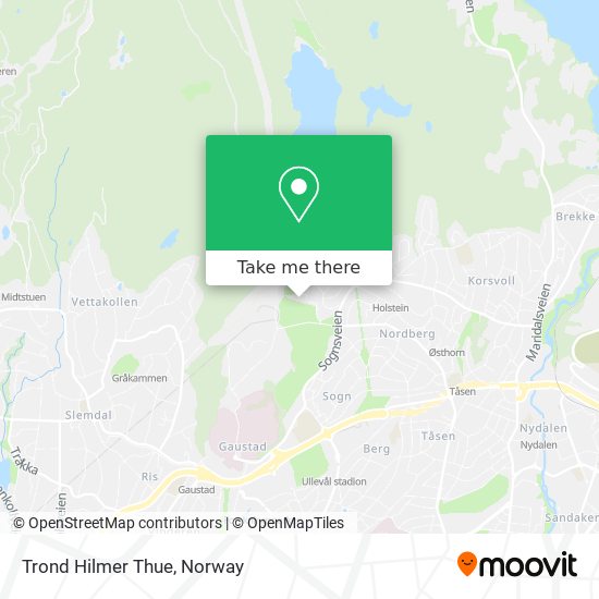 Trond Hilmer Thue map