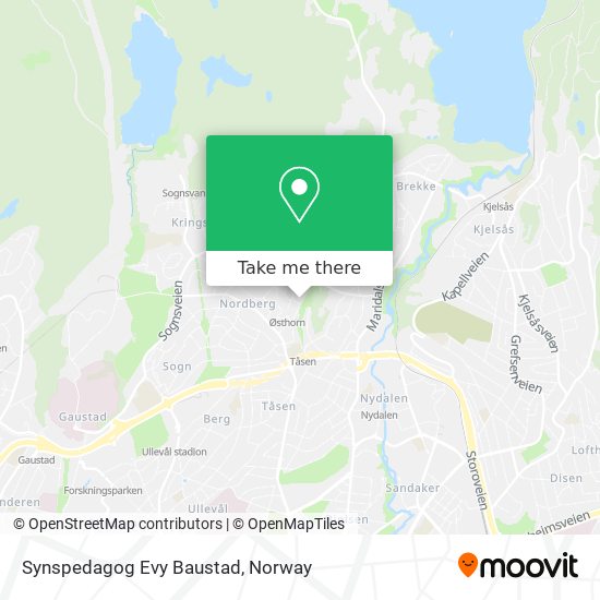 Synspedagog Evy Baustad map