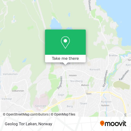 Geolog Tor Løken map