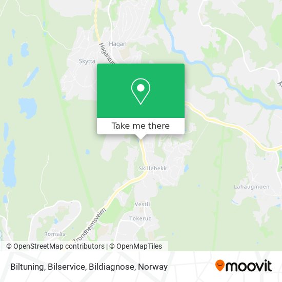 Biltuning, Bilservice, Bildiagnose map