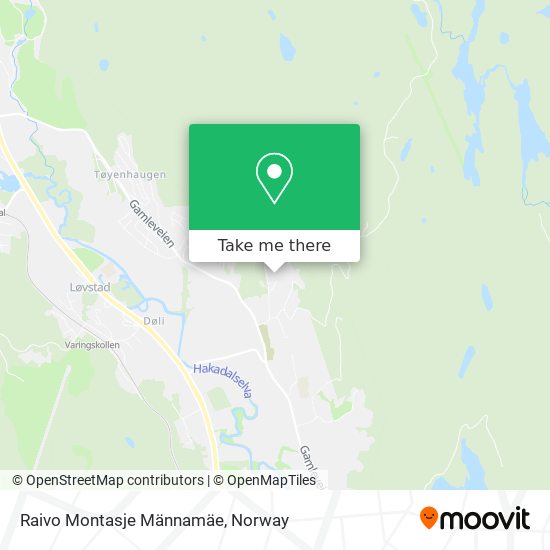 Raivo Montasje Männamäe map