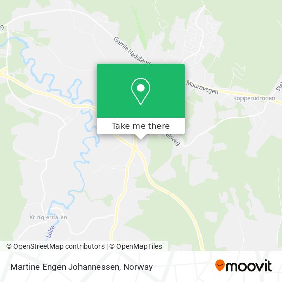 Martine Engen Johannessen map