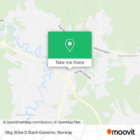 Sbg Stine D Bach-Gansmo map