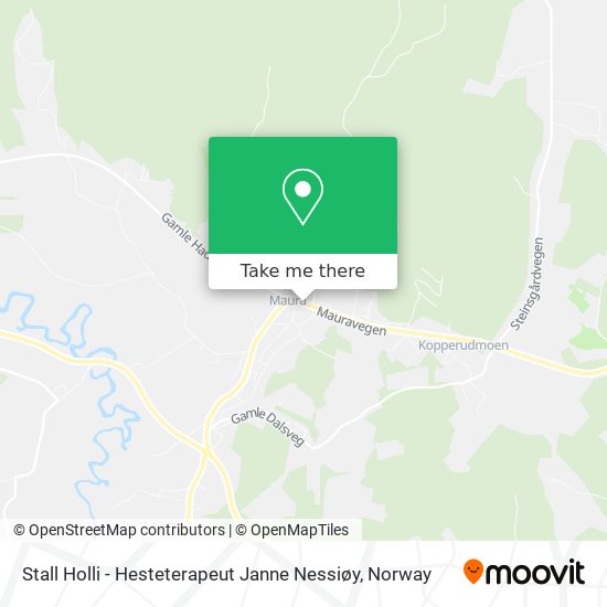 Stall Holli - Hesteterapeut Janne Nessiøy map