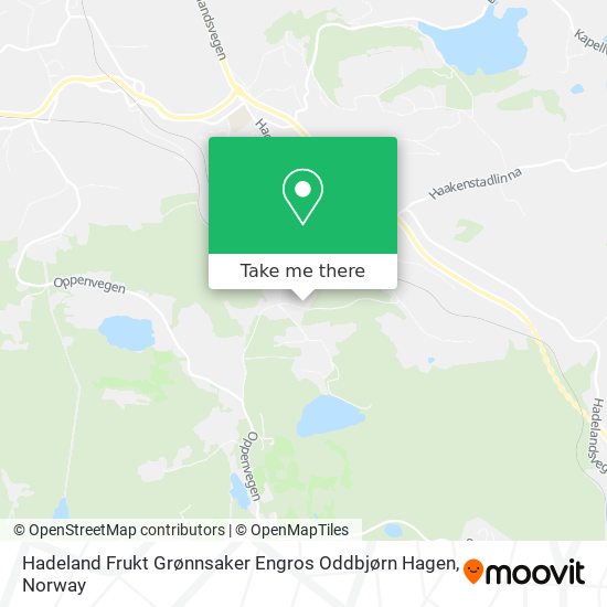 Hadeland Frukt Grønnsaker Engros Oddbjørn Hagen map