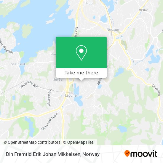 Din Fremtid Erik Johan Mikkelsen map