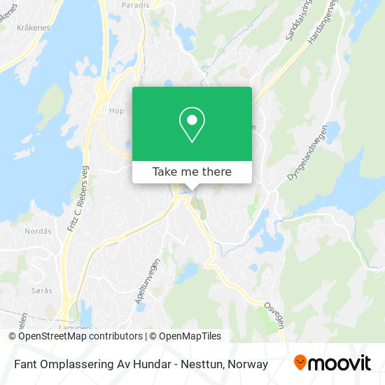 Fant Omplassering Av Hundar - Nesttun map