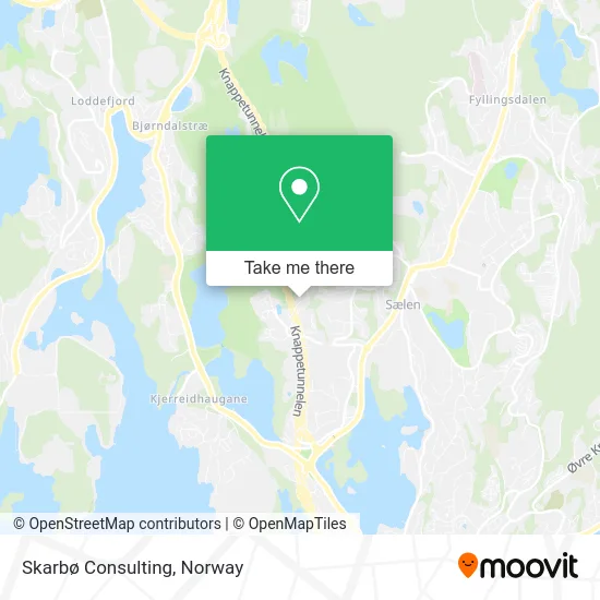 Skarbø Consulting map