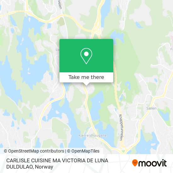 CARLISLE CUISINE MA VICTORIA DE LUNA DULDULAO map