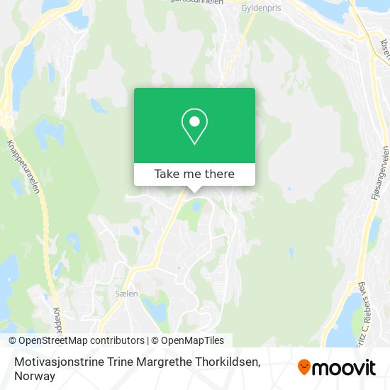Motivasjonstrine Trine Margrethe Thorkildsen map