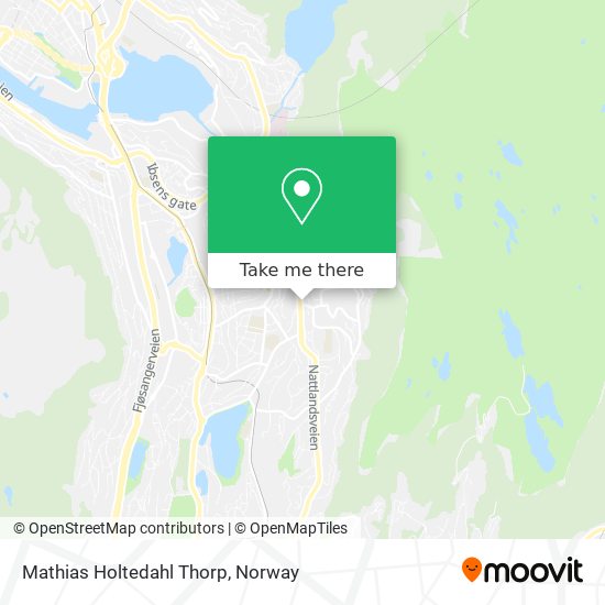 Mathias Holtedahl Thorp map