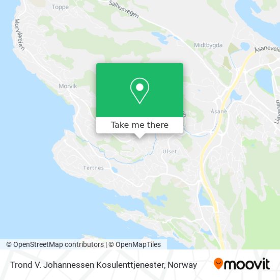 Trond V. Johannessen Kosulenttjenester map